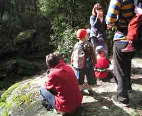 Boronia Tours - Getaway Accommodation 2