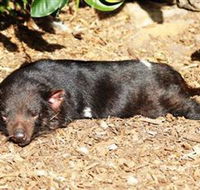 Symbio Wildlife Park - Getaway Accommodation