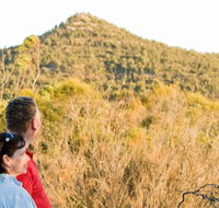Piles Creek loop - Getaway Accommodation