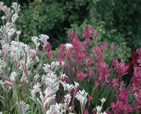 Mt Penang Gardens - Getaway Accommodation 1