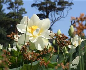 Mt Penang Gardens - Getaway Accommodation 2