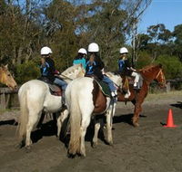 Darkes Forest Riding Ranch - Getaway Accommodation