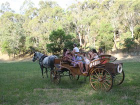 Classic Carriage Drives - Getaway Accommodation 3