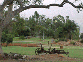 Charleville - Graham Andrews Parklands - thumb 2