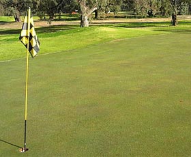 Wentworth Sporting Complex - Getaway Accommodation 0