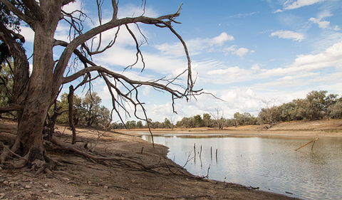 Toorale National Park - Getaway Accommodation 0