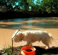 Charleville - 27 Mile Warrego River Fishing Spot - Getaway Accommodation