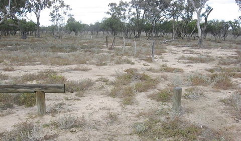 Culgoa Connellys Track - Getaway Accommodation 0