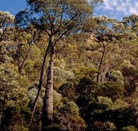 Ka Ka Mundi Carnarvon National Park - Getaway Accommodation