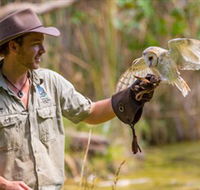 Territory Wildlife Park - Getaway Accommodation