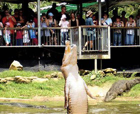 Crocodylus Park - Getaway Accommodation 0