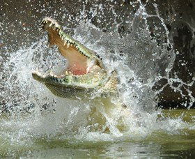 Crocodylus Park - Getaway Accommodation 5