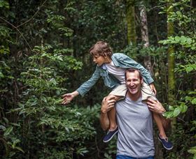 Paluma And Crystal Creek Rainforest - Getaway Accommodation 1