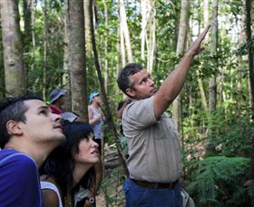 Paluma And Crystal Creek Rainforest - Getaway Accommodation 2