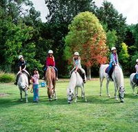 Limestone Coast Horseriding - Getaway Accommodation
