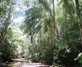 Mount Lewis National Park - Getaway Accommodation 0