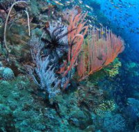 SS Yongala Dive Site - Getaway Accommodation
