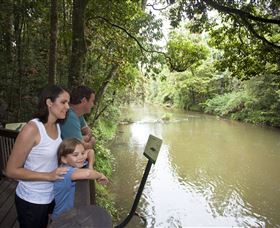 Platypus Viewing At Broken River - Getaway Accommodation 1