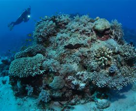 Keeper Reef Dive Site - Getaway Accommodation 1