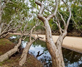 Oyala Thumotang National Park (CYPAL) - Getaway Accommodation 0