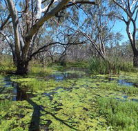Macquarie Valley Trails - Getaway Accommodation