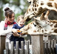Taronga Western Plains Zoo Dubbo - Getaway Accommodation