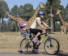 Taronga Western Plains Zoo, Dubbo - Getaway Accommodation 2