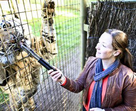 Taronga Western Plains Zoo, Dubbo - Getaway Accommodation 3