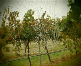 Red Earth Estate Vineyard - Getaway Accommodation 8