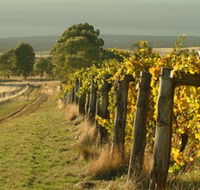 Captains Creek Organic Wines - Getaway Accommodation
