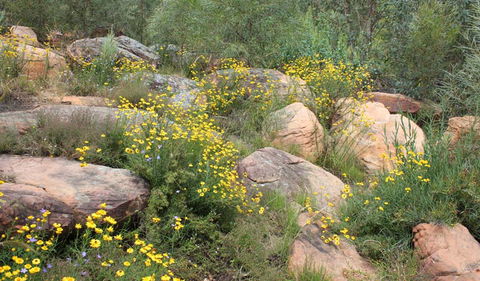 Ben Hall's Cave Walking Track - Getaway Accommodation 2