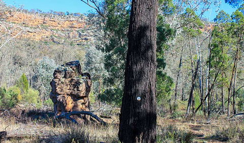 Eualdrie Walking Track - Getaway Accommodation 0