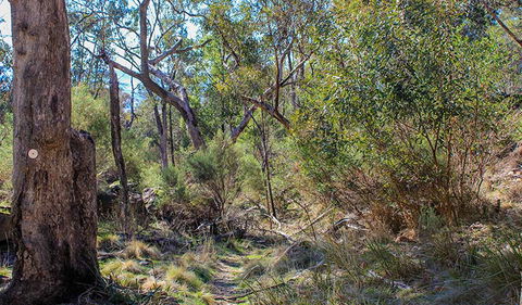 Eualdrie Walking Track - Getaway Accommodation 1