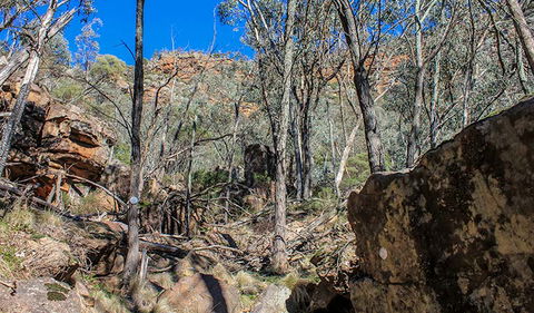 Eualdrie Walking Track - Getaway Accommodation 3
