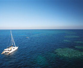 Bait Reef And Garys Lagoon Dive Site - Getaway Accommodation 0