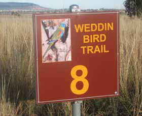 Weddin Bird Trails - Getaway Accommodation 0