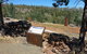 Wagun Picnic Area - thumb 3