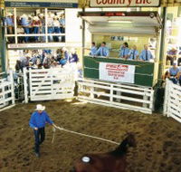 Gracemere Exhibition Complex - Getaway Accommodation