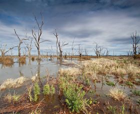 Winton Wetlands Reserve - Getaway Accommodation 4