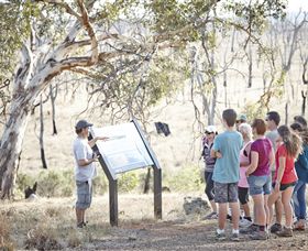 Winton Wetlands Reserve - Getaway Accommodation 5