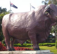 Rockhampton Bull Statues - Getaway Accommodation
