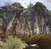 Borenore Karst Conservation Reserve - Getaway Accommodation