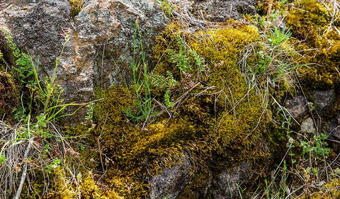 Hopetoun Falls Walking Track - Getaway Accommodation 2