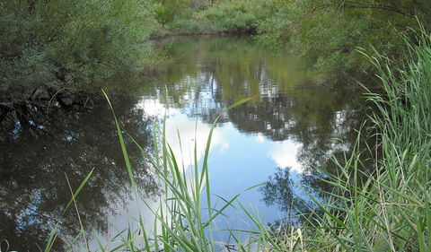 Mullion Range State Conservation Area - Getaway Accommodation 2