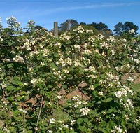 Huntley Berry Farm - Getaway Accommodation