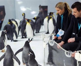SEA LIFE Melbourne Aquarium - Getaway Accommodation 2