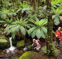 Baw Baw National Park - Getaway Accommodation