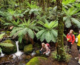 Baw Baw National Park - Getaway Accommodation 0