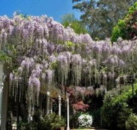 Nooroo Gardens - Getaway Accommodation