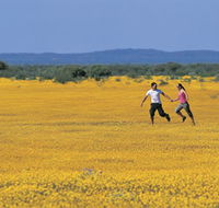 Wildflowers of the Mid West - Getaway Accommodation